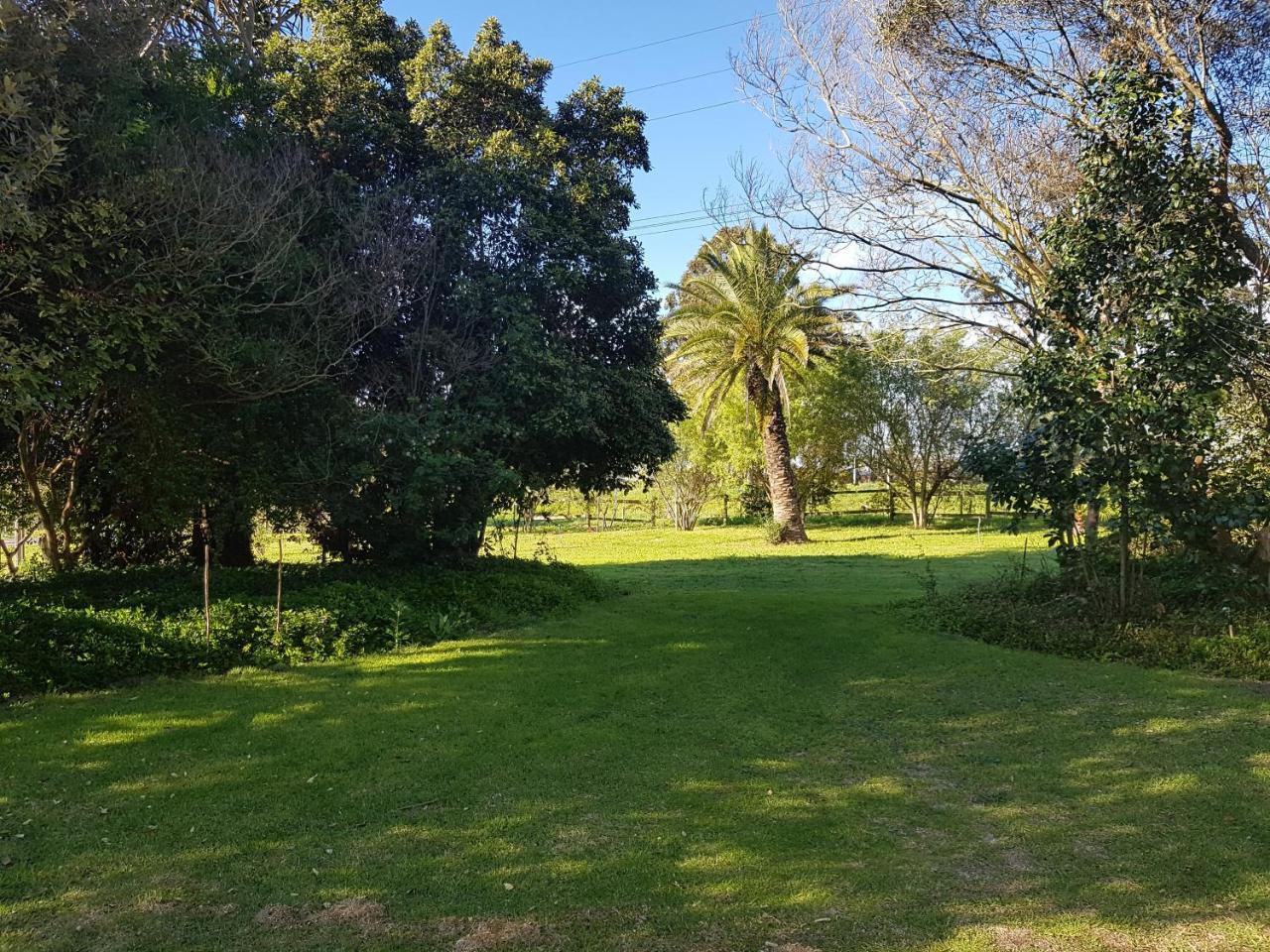 Te Amo Guesthouse Stellenbosch Luaran gambar